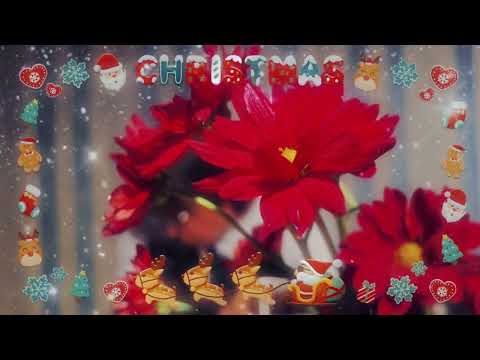 哲学科 クリスマスイブに