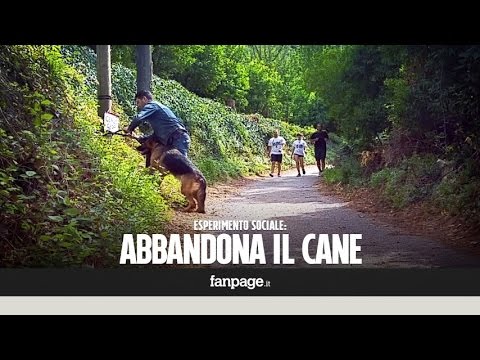 Parassiti in interni di un salmone di gobba Come venire a sapere che ha sintomi di vermi