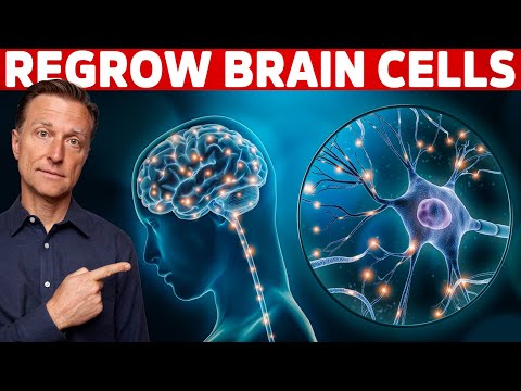 Renew & Protect Your Brain Cells | Brain Derived Neurotrophic Factor – Dr. Berg