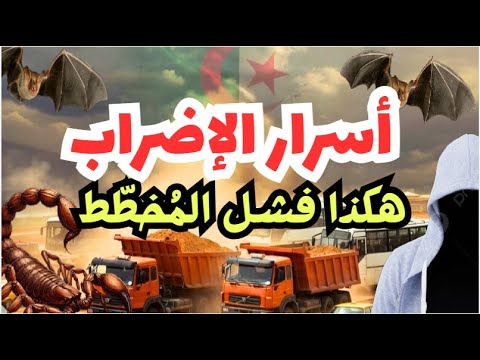 حول قانون المرور الجزائري وإضراب الشاحنات مقطع مهم بعنوان: أسرار الإضراب! هكذا فشل المخطط!