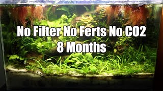 No Filter No CO2 8 Month Update