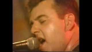 The Meteors - Little Red Riding Hood (Live in The Hummingbird Club, Birmingham, UK, 1988)