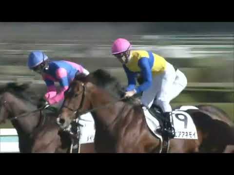 2021.12.19 2yo Newcomer (JPN) - Air Anemoi