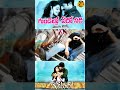 GundelloEdoSadi Golimaar Gopichand Priyamani Chakri Maa Paata Mee Nota