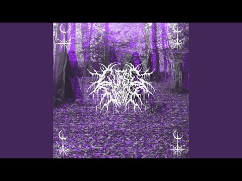 The Curse video thumbnail