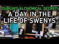 A Day in the Life of Swenys (TRAILER) - Blooms & Barnacles Podcast A Day in the Life of Swenys (TRAILER)