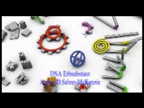 DNA Erbsubstanz Author D.Selzer-McKenzie