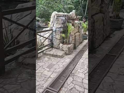 Olheiro de Pureza, Rio Grande do Norte 💙