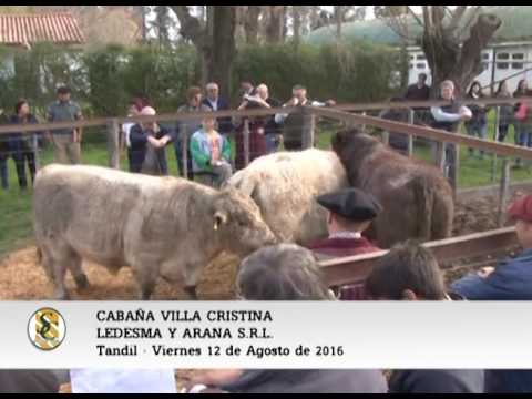 12-08-16 - VENTAS DE CABAÑA " VILLA CRISTINA" -  LEDESMA Y ARANA S.R.L.