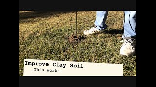 IMPROVE CLAY SOIL - 5 Step Strategy to better grass growth and drainage