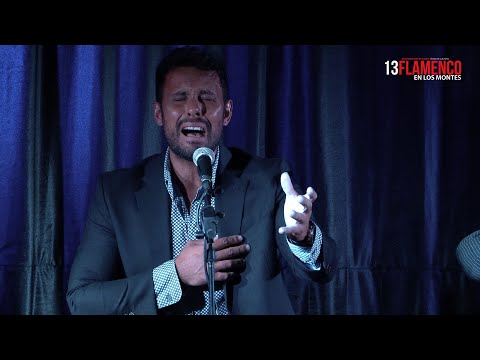 13 Flamenco en Los Montes - Pablo Coronilla Padilla