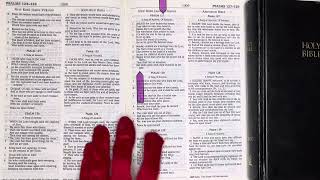 Your DAILY BREAD, THE BIBLE: 10/20/25, Psalm 127, Hosea 7:1-10:25, Luke 12:1-59. Psalm 48