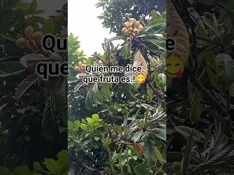 Que rico 😋  San Marcos - Cajamarca - Perú 🇵🇪