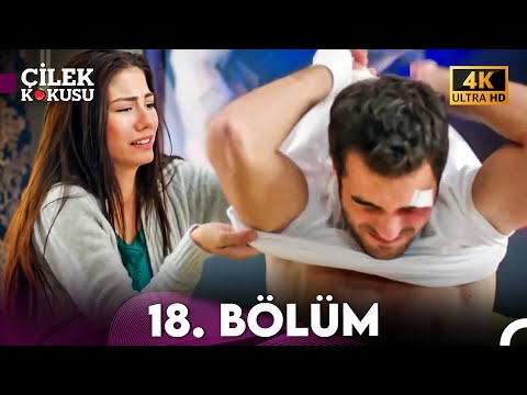 Çilek Kokusu 18. Bölüm (4K)
