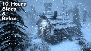 -40 at the ARCTIC STATION and Sounds of an icy snow storm and Howling of a strong wind