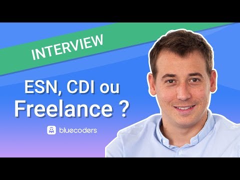 ESN, CDI ou Freelance, que choisir  | Bluecoders