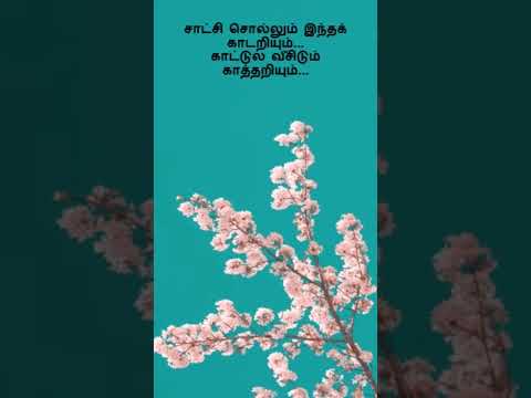 Reel tagged #ilayaraja