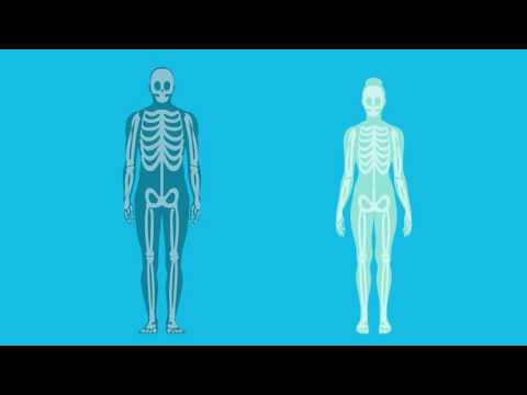 Eng yaxshi eshaklarning jinsiy aloqa videolari