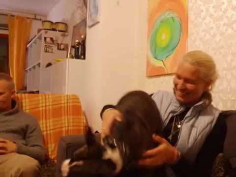 Ashni's naturals LADYS everywhere