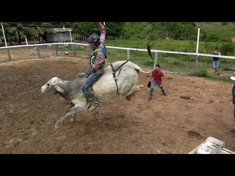 Jairo paulino montando touro bola de neve