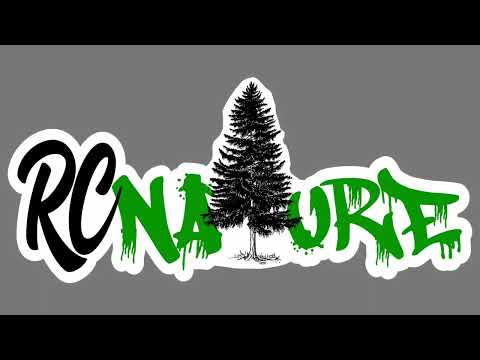 Lipo Storage Safety - RC Shop Talk.