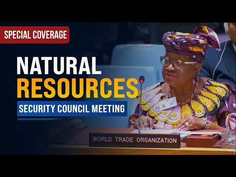 Video Thumbnail: Critical minerals: Global demand should harness new wealth - WTO Briefing | United Nations