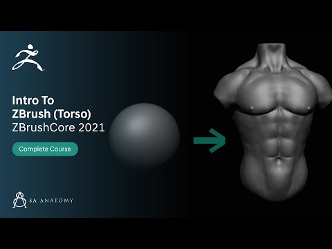 Introduction To ZBrush Core For Beginners - Torso (Part 1 )