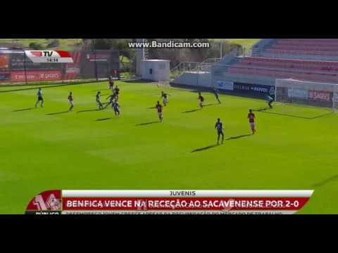 Juvenis 'A': SL Benfica 2-0 SG Sacavenense
