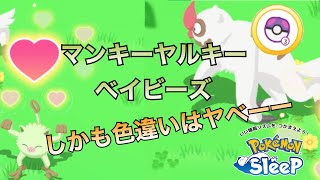 マスター3 色違いマンキーーにヤルキーー【ポケモンスリープ】