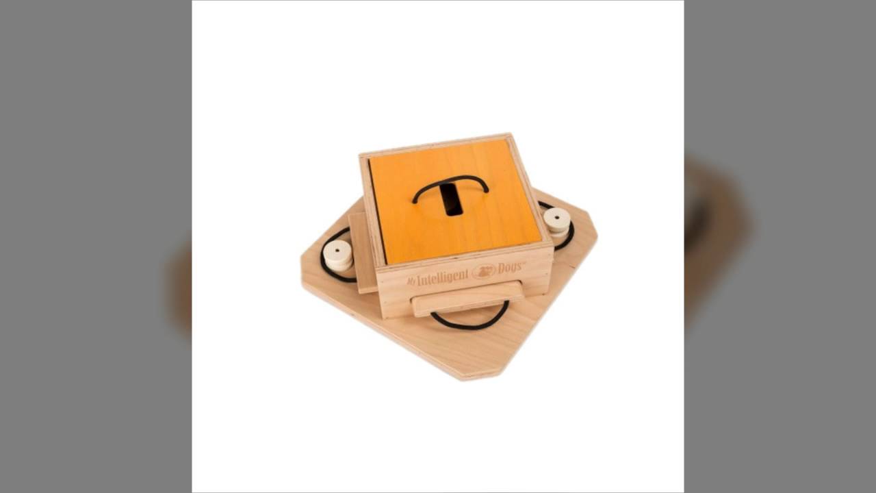 My Intelligent Dogs Jeux de stratégie Dog Trouble en bois