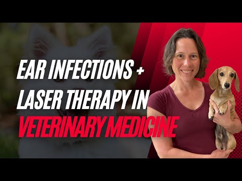 Ear Infections, Low Level Laser Therapy, & More! | Dr. Rachel Starr, DVM