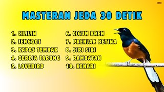 Download lagu 🔴 MASTERAN MURAI BATU GACOR JEDA 30 DETIK TERBAIK || 691 mp3 Download lagu 🔴 MASTERAN MURAI BATU GACOR JEDA 30 DETIK TERBAIK || 691 mp3