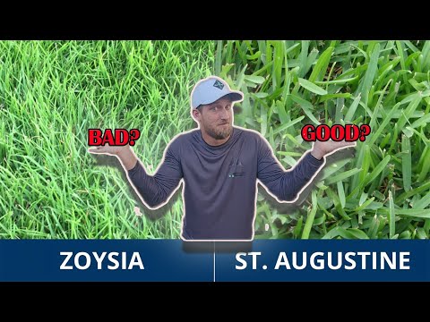 Should You Get Zoysia Or Saint Augustine Grass!?!?! Which Grass Type Is Best For Your Lawn?!?!