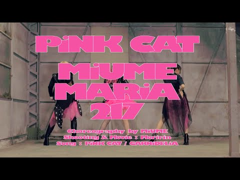 PiNK CAT 【みうめ・MARiA[ﾒｲﾘｱ]・217】 -Official-
