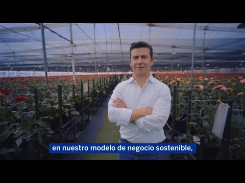 Flores que se hacen sostenibles 