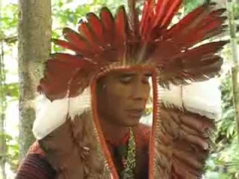 Amazon Shamanism   Explanation of Ra pe