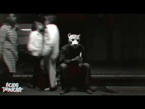 Ácido Pantera - Todo Me Acuerda de Tí Ft. Jaymutt (Visualizer)