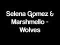 Selena Gomez & Marshmello - Wolves Lyrics