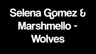 Selena Gomez & Marshmello - Wolves Lyrics