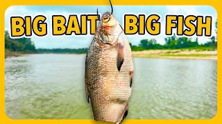 We Risked Everything For These Monster Gar (Almost Failed)