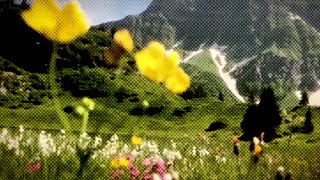 Wald Music Video