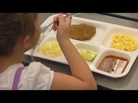 NY School Lunches
