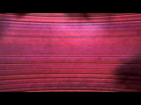 youngin slow -baggage room