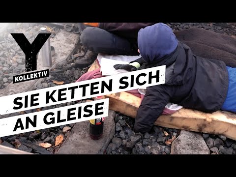 Was würdet ihr fürs Klima tun? Radikale Aktivisten kämpfen gegen Klimawandel | Y-Kollektiv