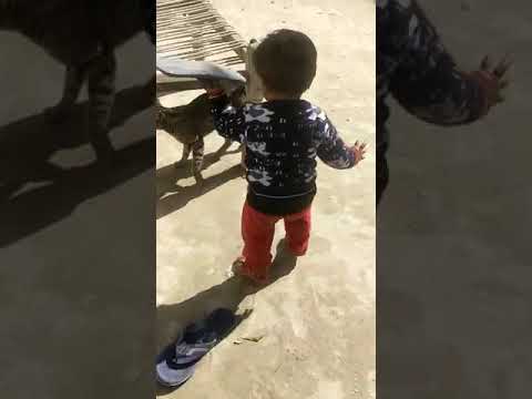 ishan with his favourite cat...