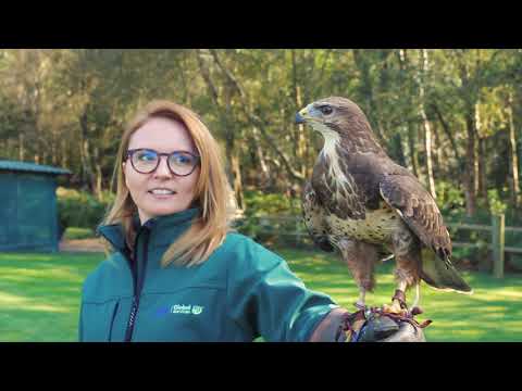 Human Element Productions video.