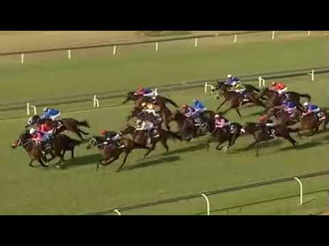 2018 Gauteng Guineas