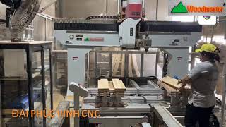 WOODMASTER CNC. MÁY CNC 5 Trục ( 5 Axis) MÁY CNC 3D T4E 2 Bàn làm việc liên tục giả rẻ nhất VN 2020