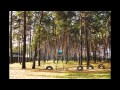 Красивый лес 