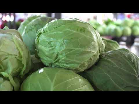 Ceger ep. 322 20.07.2020.